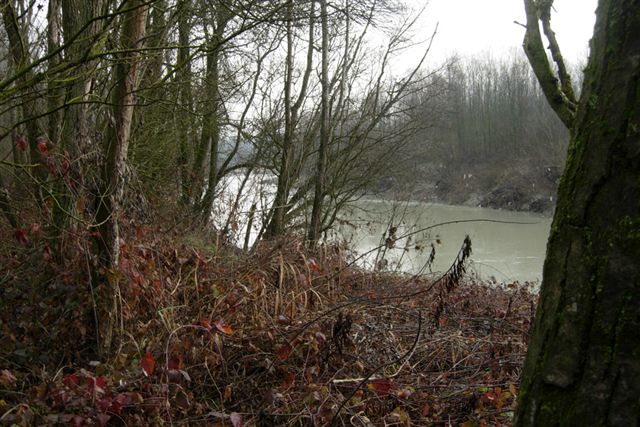 Passeggiata nel bosco golenale